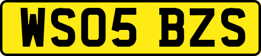 WS05BZS