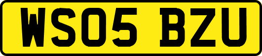 WS05BZU