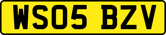 WS05BZV
