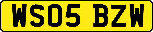 WS05BZW