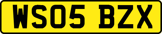 WS05BZX