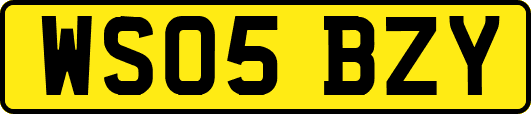 WS05BZY
