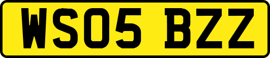 WS05BZZ