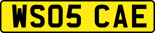 WS05CAE