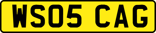 WS05CAG
