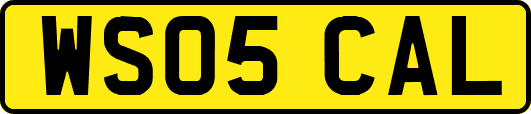 WS05CAL