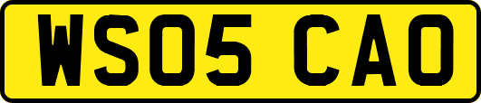 WS05CAO