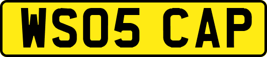 WS05CAP