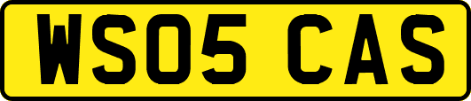 WS05CAS