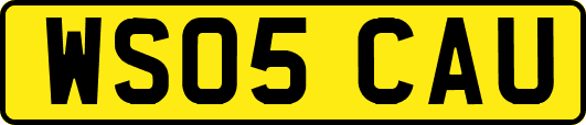WS05CAU