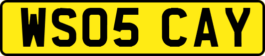 WS05CAY