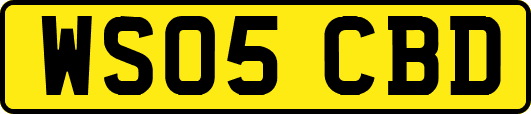 WS05CBD