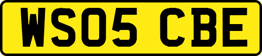 WS05CBE