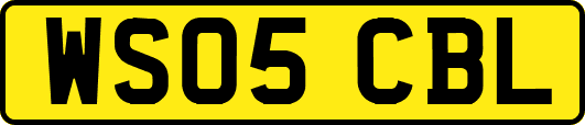 WS05CBL
