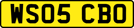 WS05CBO