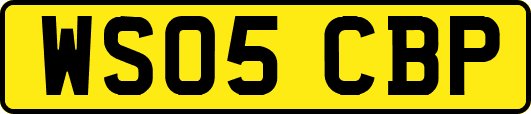 WS05CBP