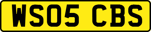 WS05CBS
