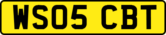 WS05CBT