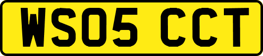 WS05CCT