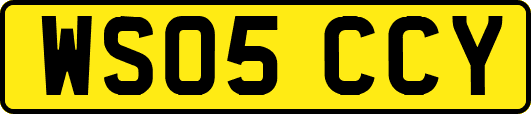 WS05CCY