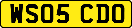 WS05CDO