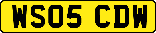 WS05CDW