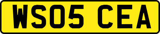 WS05CEA