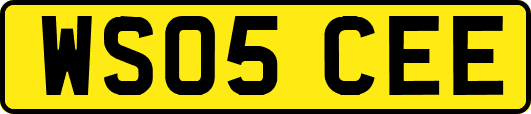 WS05CEE