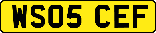 WS05CEF