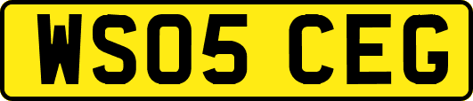 WS05CEG