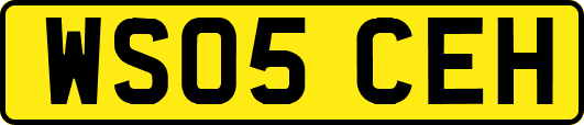 WS05CEH