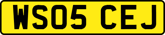 WS05CEJ