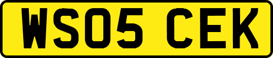 WS05CEK