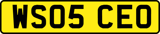 WS05CEO