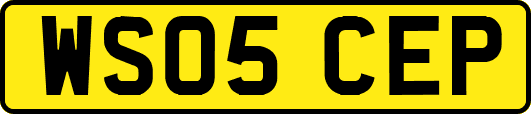 WS05CEP