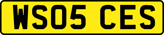 WS05CES