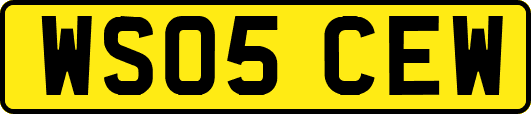 WS05CEW