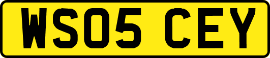 WS05CEY