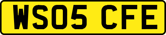 WS05CFE