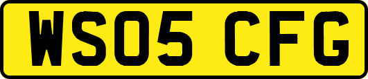 WS05CFG