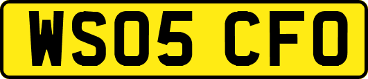 WS05CFO