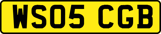 WS05CGB