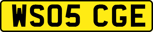 WS05CGE