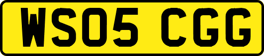 WS05CGG
