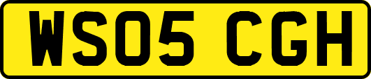 WS05CGH
