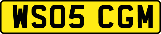 WS05CGM