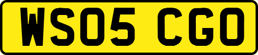 WS05CGO