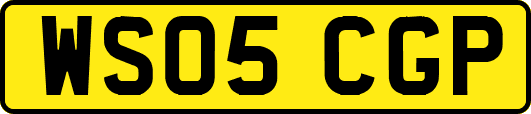 WS05CGP