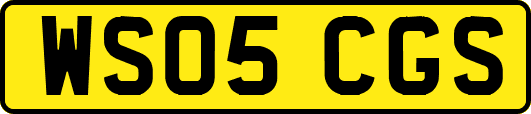 WS05CGS