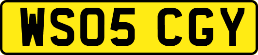 WS05CGY